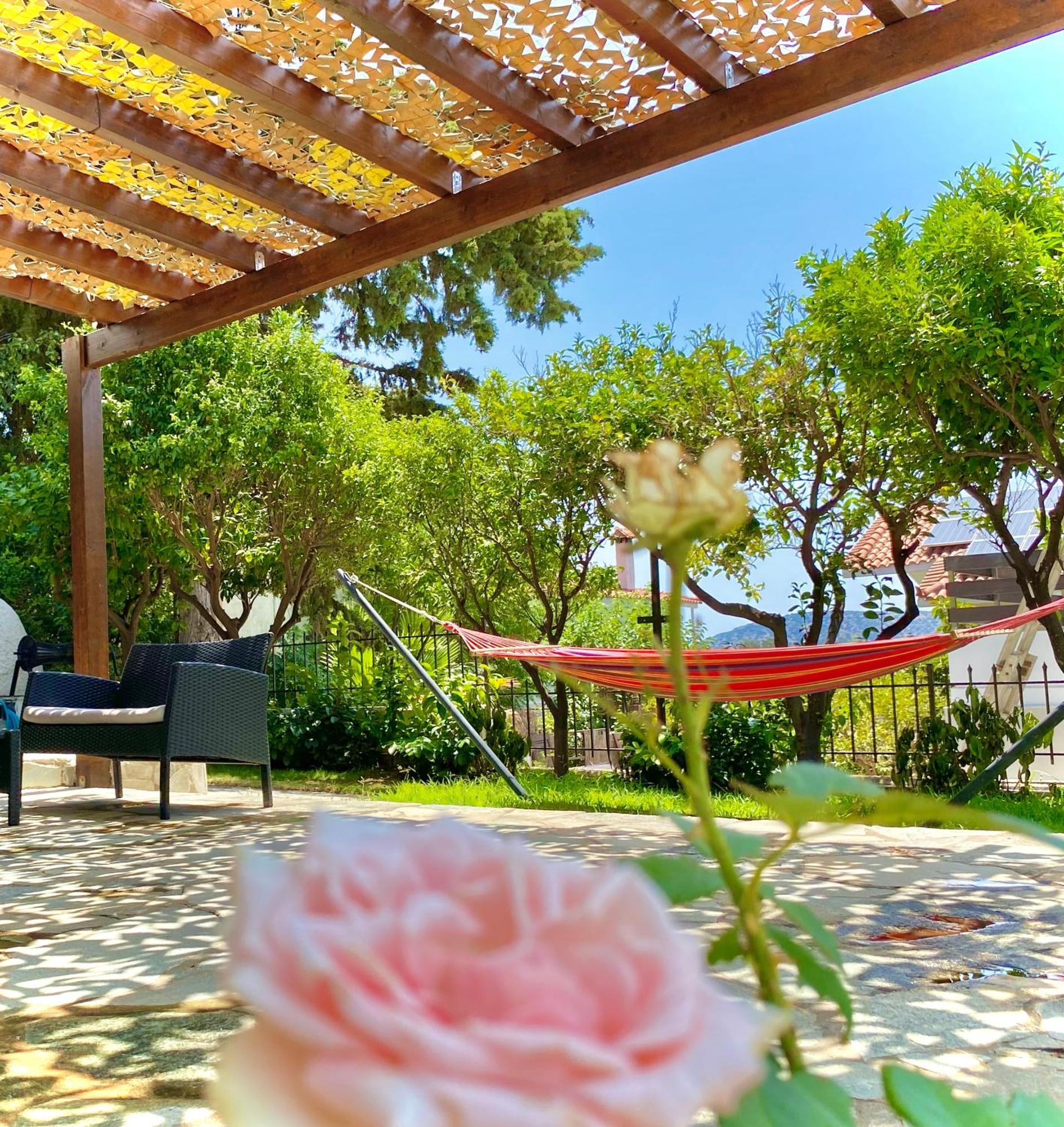 Villa Naya By The Beach Anavyssos Extérieur photo